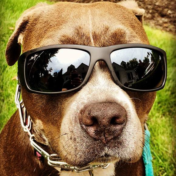 Meet your Posher, Adam - Picture 1 of 1